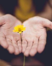 lina-trochez-ktPKyUs3Qjs-unsplash